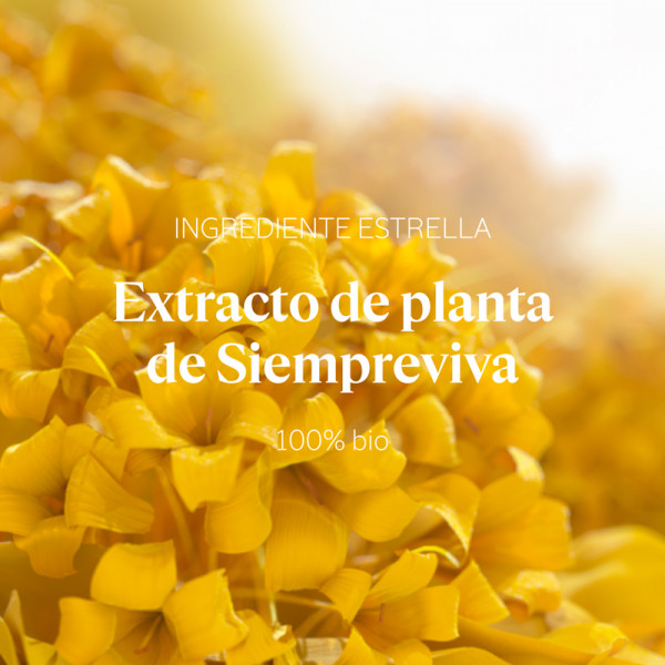 precious-immortelle-eye-contour