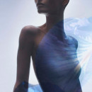 iris-bleu