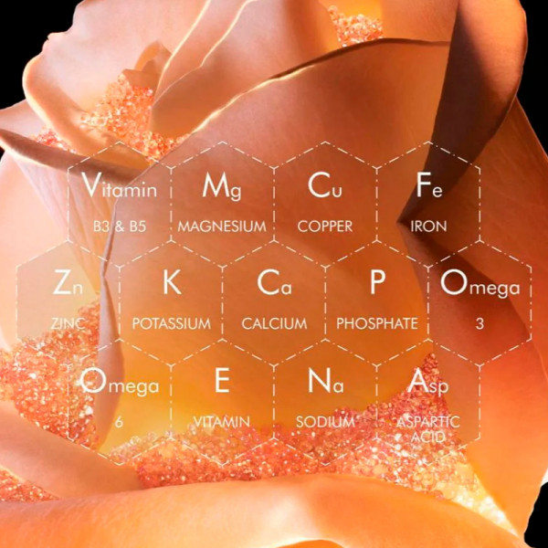 uitzonderlijk-herstellend-micronutrienten-gezichtsserum