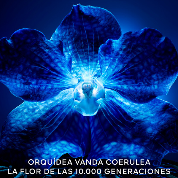 orchidee-imperiale-den-nya-rika-langvariga-kramen