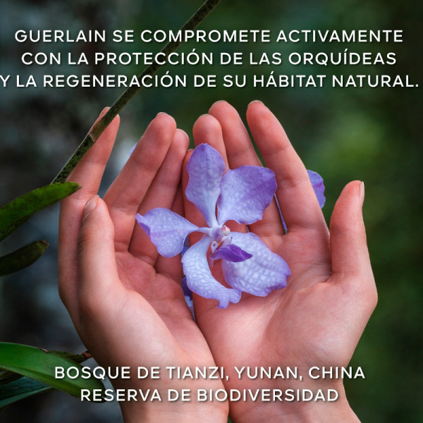orchidee-imperiale-the-new-rich-longevity-cream