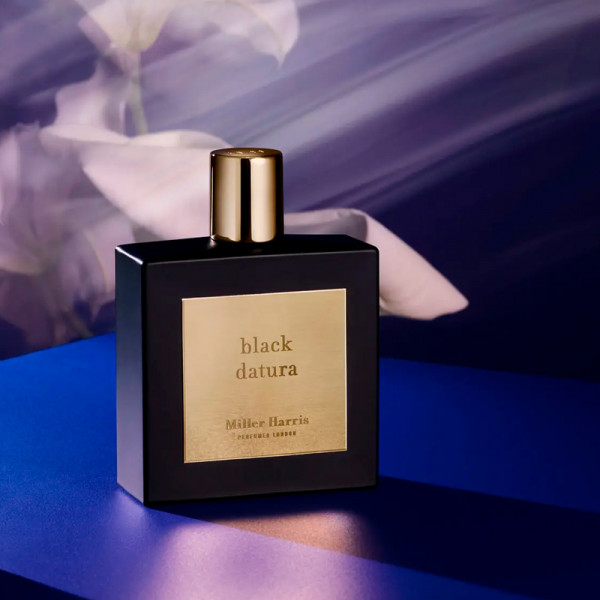 black-datura