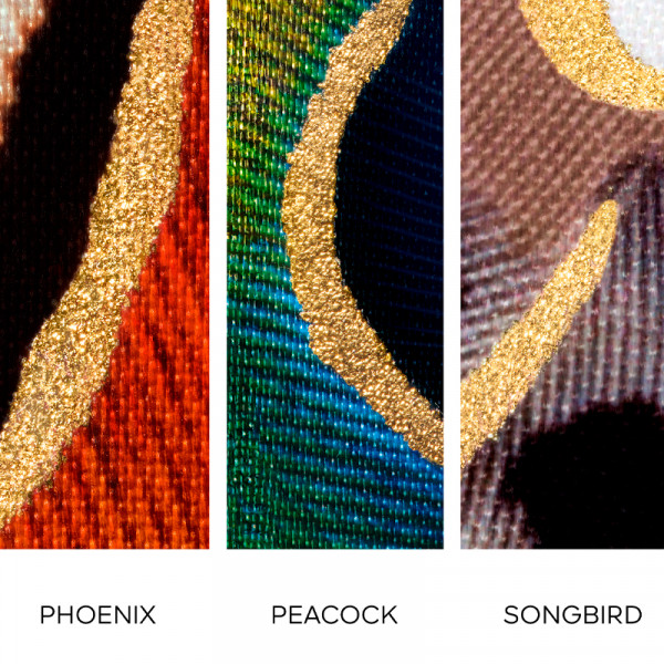 rouge-g-the-peacock-case