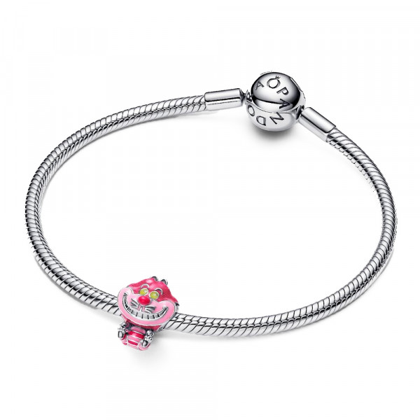 charm-gato-de-cheshire-de-alicia-en-el-pais-de-las-maravillas-de-disney-794025c01
