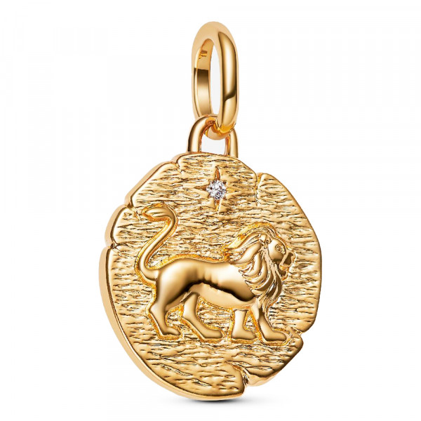 charm-medallon-de-leon