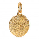 lion-medallion-charm