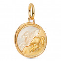 Charm de medallón de Pegaso 764090C01
