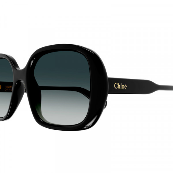 solbriller-ch0222s