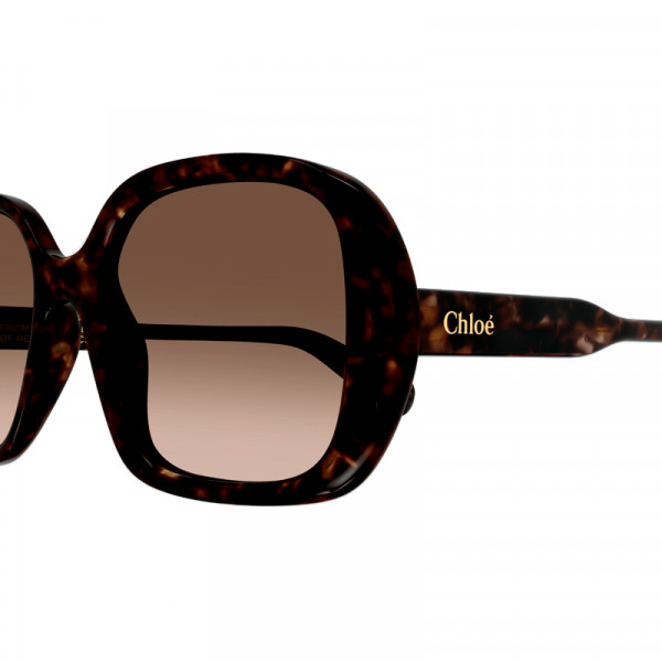 sonnenbrille-ch0222s