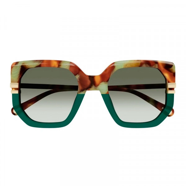 sunglasses-ch0240s
