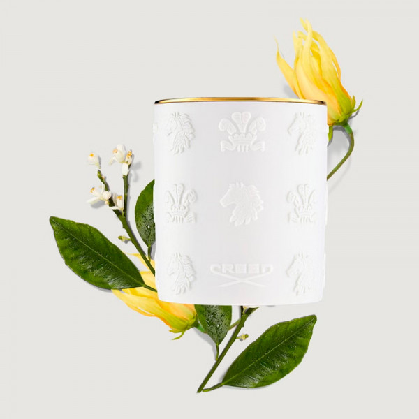 cananga-vela-aromatica