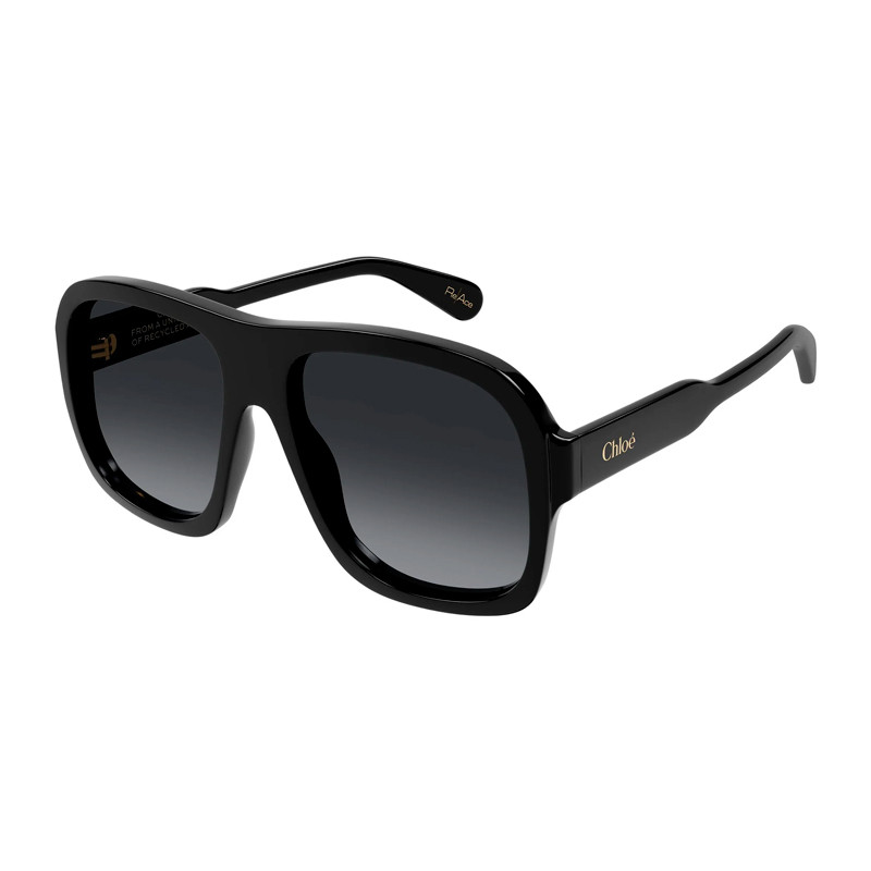 Chloe Sunglasses Occhiali da sole da donna Occhiali da sole Ch0331S