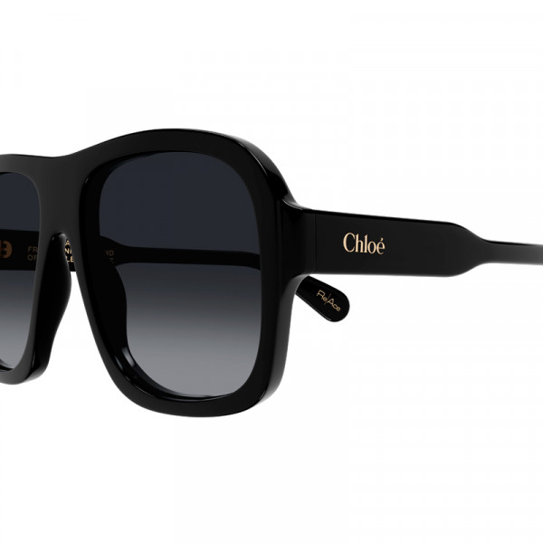sunglasses-ch0331s