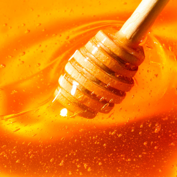 reve-de-miel-cica-creme-riche-pour-les-mains
