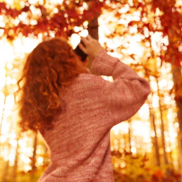 replica-autumn-vibes