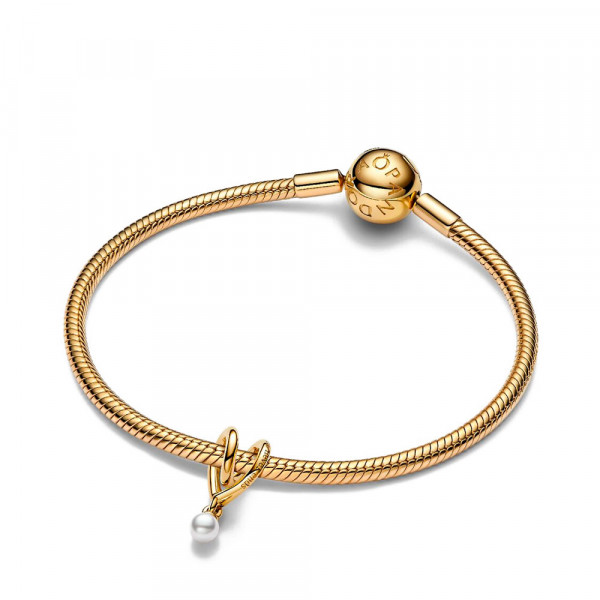 charm-corazon-envuelto-764138c01 charm-corazon-envuelto-764138c01