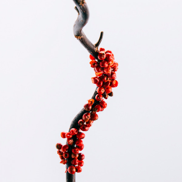 loewe-7-eau-de-toilette-set