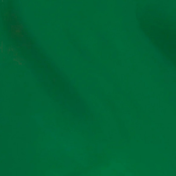 is-opi-m-a-supermodel-neglelak