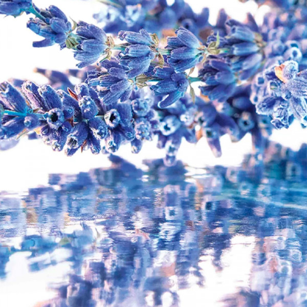 mon-guerlain-eau-de-parfum-coffret