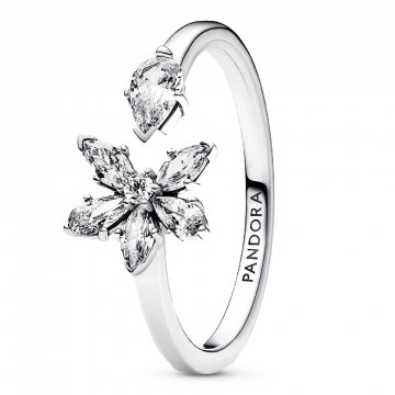 offenes-ringherbarium-brilliant-192611c01