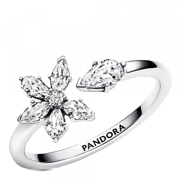 herbario-de-anel-aberto-brilhante-192611c01