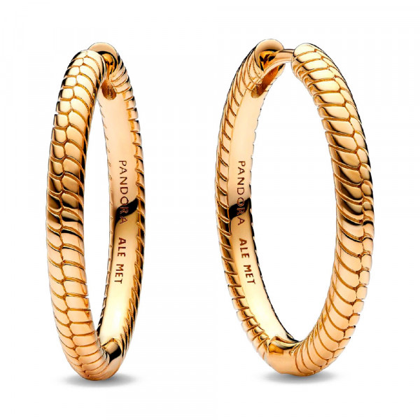 boucles-d-oreilles-creoles-pandora-moments-269532c00