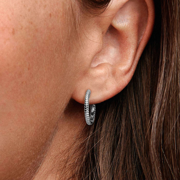 pandora-moments-creolen-fur-kleine-charms-292728c00