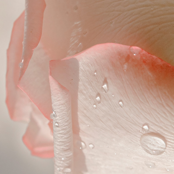 intense-starry-nights