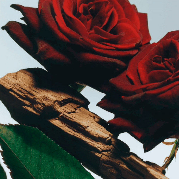 velvet-rose-oud-korperspray