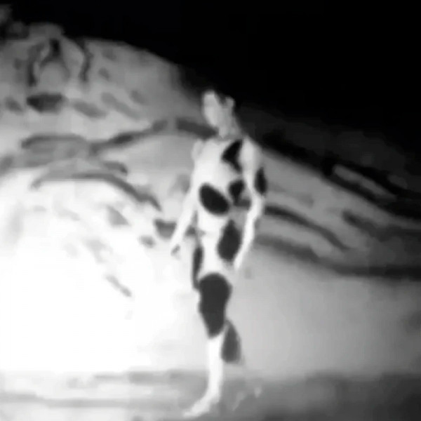 the-afternoon-of-a-faun