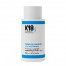 damage-shield-ph-protective-shampoo-farbschutzshampoo