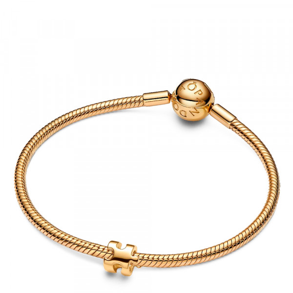 charm-mini-puzzle-piece