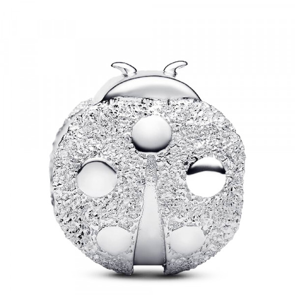 charm-mini-mariquita-textura