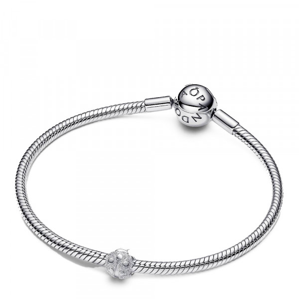 charm-mini-mariquita-textura