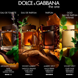 dolce-gabbana-the-one-for-men-