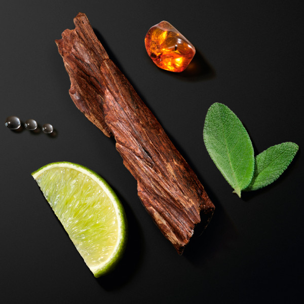 acqua-di-gio-homme-intense-eau-de-parfum