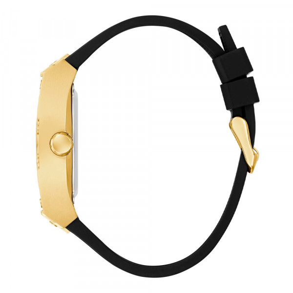 reloj-phoenix-gw0980g2