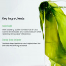 biodance-refreshing-sea-kelp-real-deep-mask-1-box-34g-x-4-pieces
