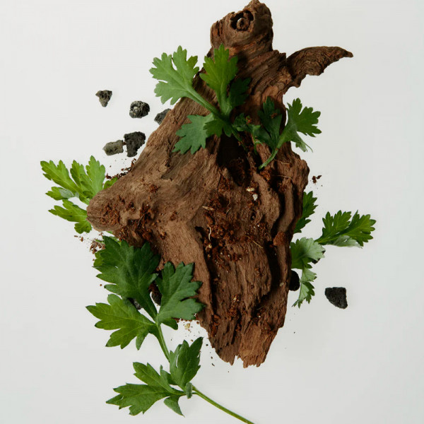 calming-serum-green-tea-panthenol-feuchtigkeitsspendendes-und-beruhigendes-serum