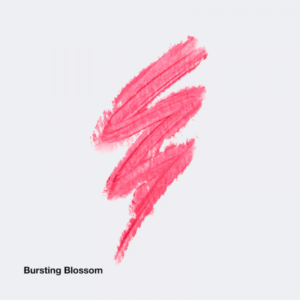 chubby-stick-fugtgivende-laebepomade-med-farve