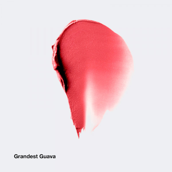 chubby-stick-cheek-getonter-wangenbalsam