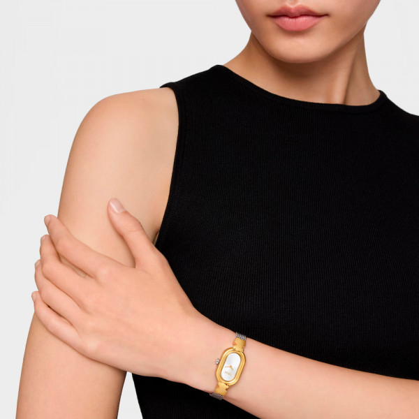 analog-jewelry-watch-with-steel-and-gold-steel-bracelet-oval-icon