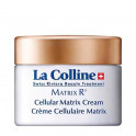 Cellular Matrix Cream