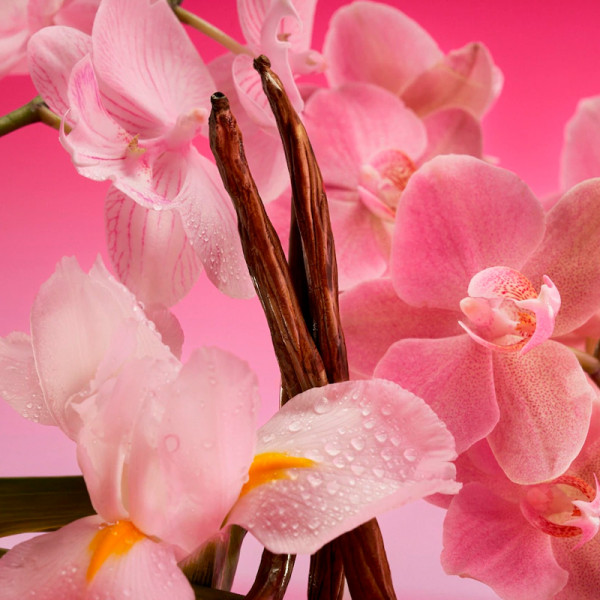 euphoria-magnetic-elixir