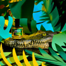 jazmin-yucatan