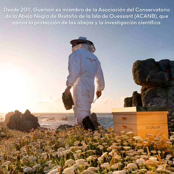 abeille-royale-cream-set-ungdomsreparerande-anti-aging-ritual