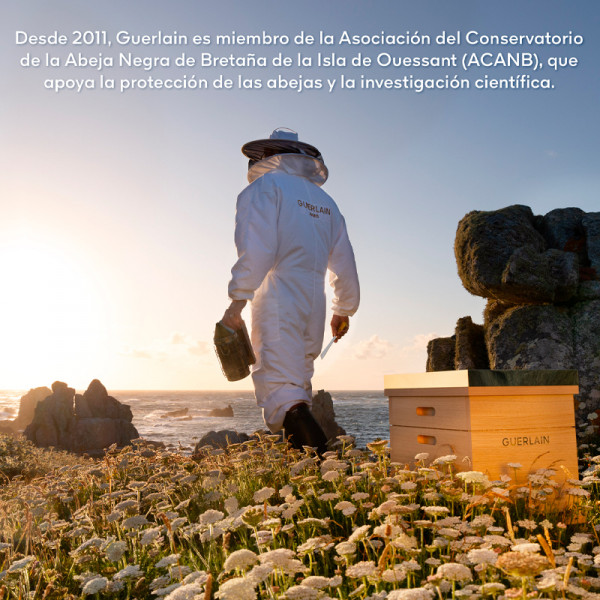 abeille-night-day-cream-set-abeille-royal-youth-repair-anti-aging-program