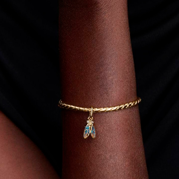 charm-cigarra-764490c01