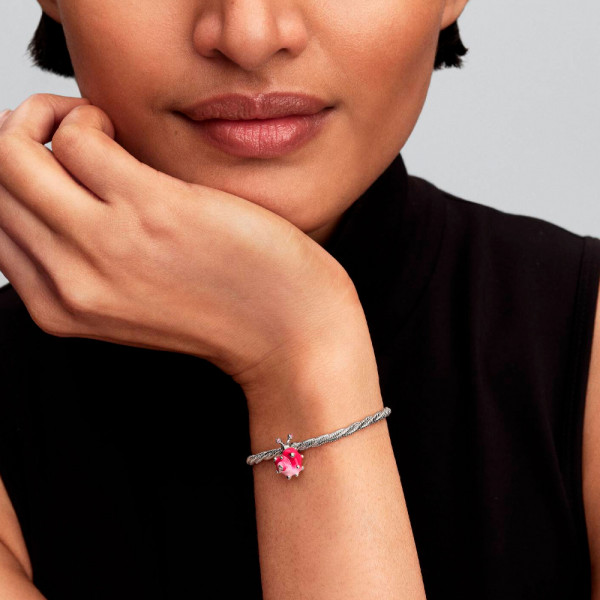 escargot-rose-charme