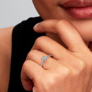 anillo-de-flor-brillante-194499c01